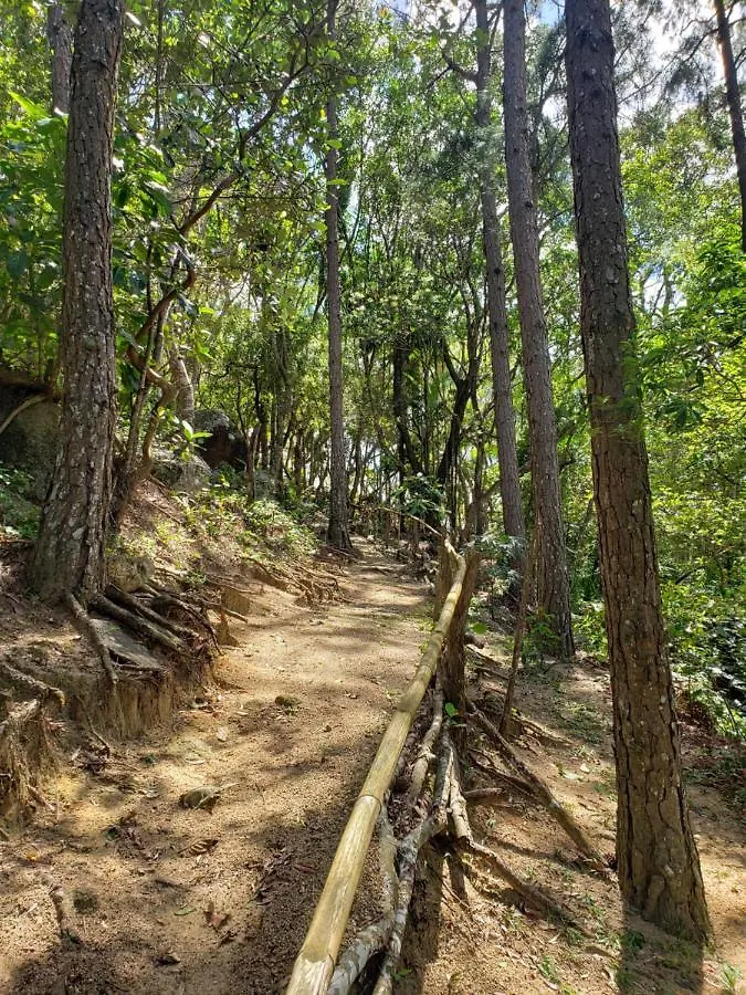 여관 Pousada Quinta Da Bela Vista Florianópolis
